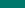 00796b